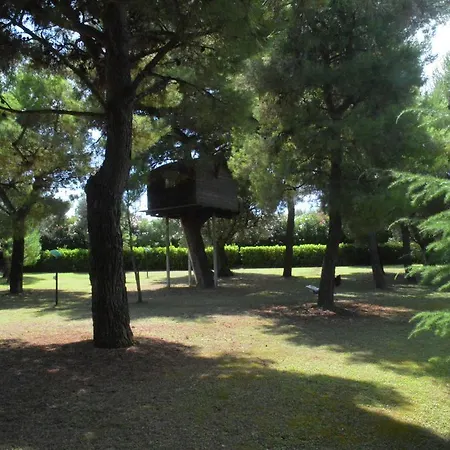 Holiday Lia Potenza Picena